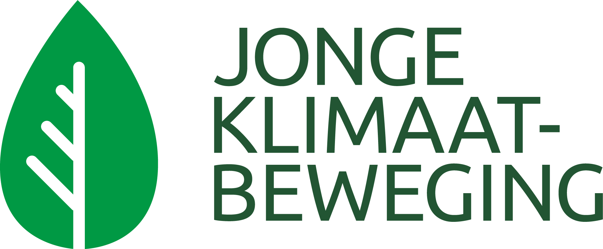 De Jonge Klimaatbeweging